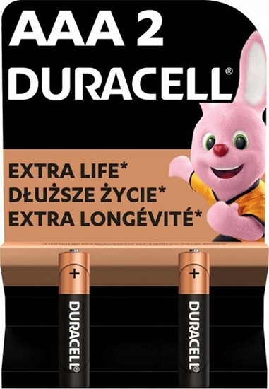Picture of Duracell Basic MN2400 AAA BL2