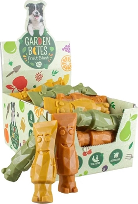 Picture of Duvo+ GARDEN BITES FRUITY TONYA TOOTHPASTE "L"   13.5cm    12szt        ( dispaly zawiera 12szt x 3 )