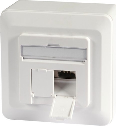 Attēls no EFB EFB Datendose Cat6a 500MHz WEISS oben unten Aufputz 2xRJ45 RAL9010 Class EA 10Gbit 40Grad Auslass inklusive 6.3mm Erdungsfahne