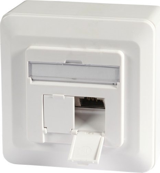 Изображение EFB EFB Datendose Cat6a 500MHz WEISS oben unten Aufputz 2xRJ45 RAL9010 Class EA 10Gbit 40Grad Auslass inklusive 6.3mm Erdungsfahne