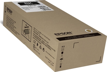 Picture of EPSON 6LB Black Ink Tank Pro T973 XL