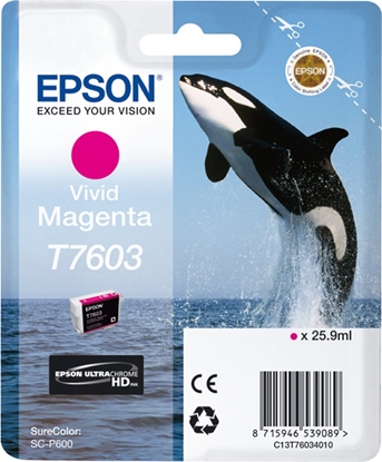 Attēls no Epson ink cartridge vivid magenta T 7603 N