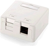 Picture of Equip 2-Port Keystone Jack Surface Mount Box