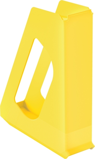 Picture of Esselte Pojemnik na dokumenty full VIVIDA ��ty