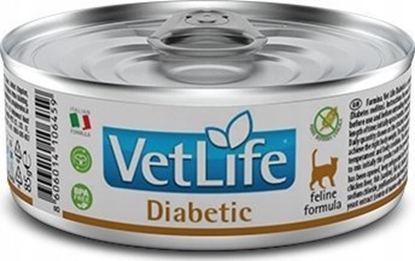 Изображение Farmina Pet Foods Vet Life Diabetic 85g