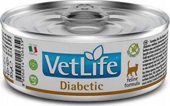Изображение Farmina Pet Foods Vet Life Diabetic 85g