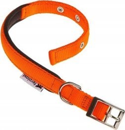 Изображение Ferplast FERPLAST DAYTONA OBROA 20/43             POMARACZOWA