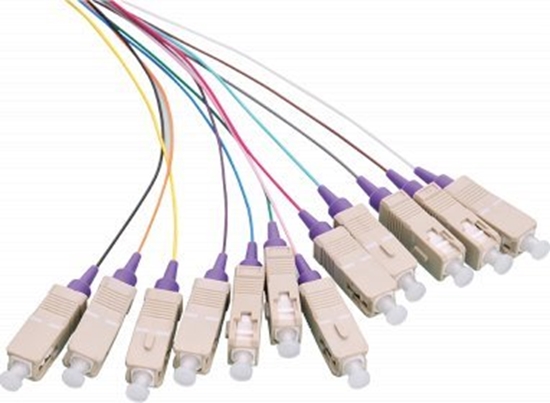 Изображение Fiber Pigtail Set 12x SC OM4