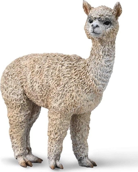 Picture of Figurka Collecta Alpaka