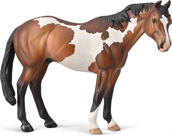 Picture of Figurka Collecta Appaloosa ogier