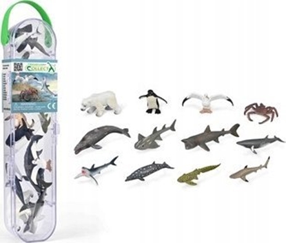 Attēls no Figurka Collecta COLLECTA BOX Z MINIZWIERZTAMI MORSKIMI (3)