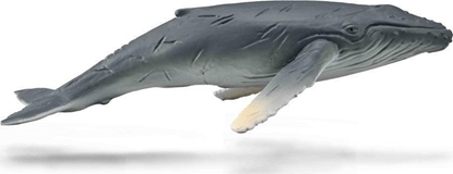 Attēls no Figurka Collecta COLLECTA HUMBAK MODY