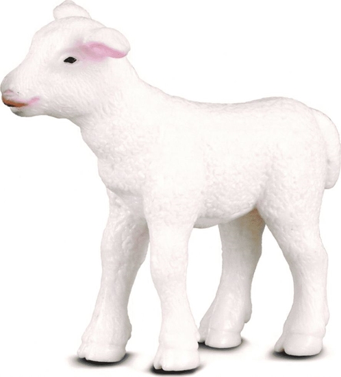 Picture of Figurka Collecta COLLECTA JAGNI STOJCE