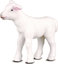 Изображение Figurka Collecta COLLECTA JAGNI STOJCE