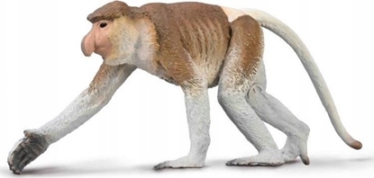 Изображение Figurka Collecta COLLECTA NOSACZ SUNDAJSKI