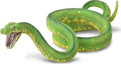 Изображение Figurka Collecta COLLECTA PYTON ZIELONY