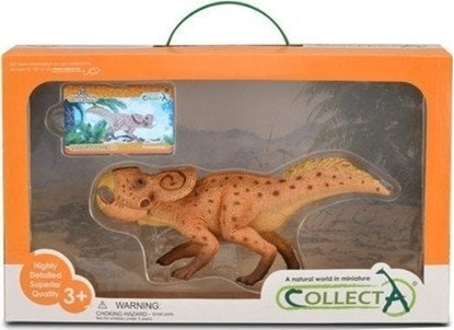 Изображение Figurka Collecta COLLECTA PROTOCERATOPS W OPAKOWANIU (DELUXE)