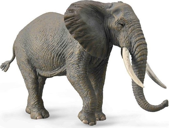 Picture of Figurka Collecta COLLECTA SO AFRYKASKI