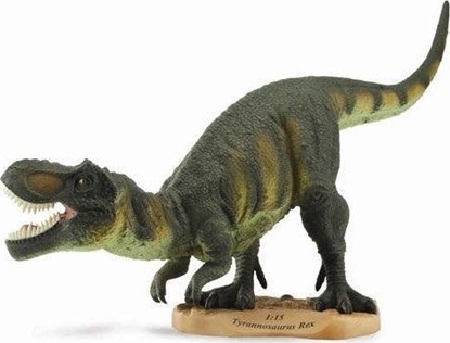 Изображение Figurka Collecta COLLECTA TYRANOZAUR REX SKALA 1:15 W OPAKOWANIU