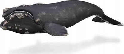 Изображение Figurka Collecta COLLECTA WALE