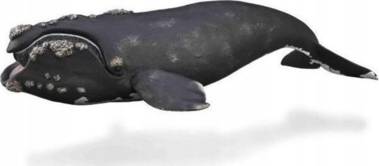 Picture of Figurka Collecta COLLECTA WALE