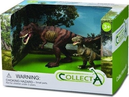 Изображение Figurka Collecta COLLECTA ZESTAW 2 DINOZAURÓW W OPAKOWANIU