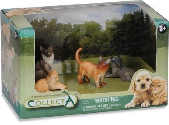 Изображение Figurka Collecta COLLECTA ZESTAW 4 KOTÓW W OPAKOWANIU
