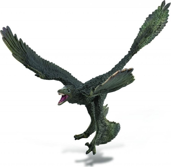 Изображение Figurka Collecta Dinozaur Microraptor