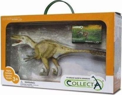 Изображение Figurka Collecta Dinozaur Welociraptor w opakowaniu