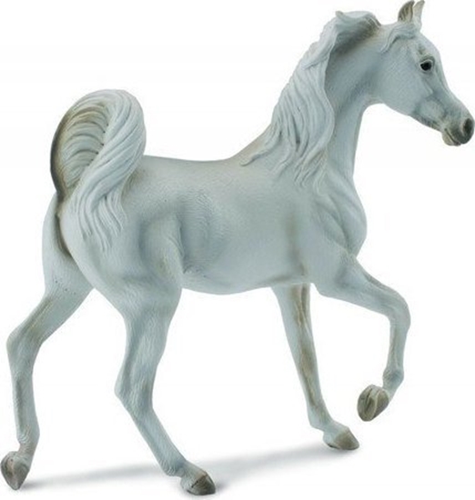 Изображение Figurka Collecta Klacz rasy arabskiej maci szarej