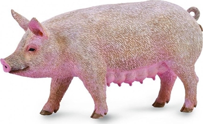 Picture of Figurka Collecta SOW