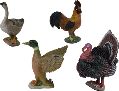 Изображение Figurka LeanToys Duy Zestaw Figurek Farma Wie Indyk Kura Kogut Taczka 11 elementów