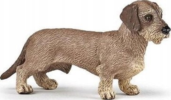 Picture of Figurka Papo Jamnik szorstkowosy