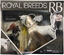 Изображение Figurka Papo Royal Breeds Figureset Kiss 'N Nuzzle