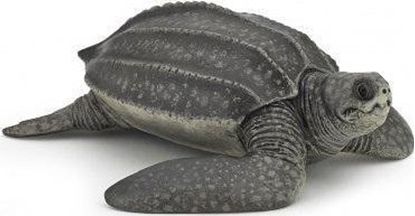 Изображение Figurka Papo ów skórzasty