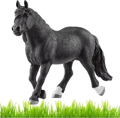 Attēls no Figurka Schleich Konik figurka dla dzieci zabawka ogier Noriker