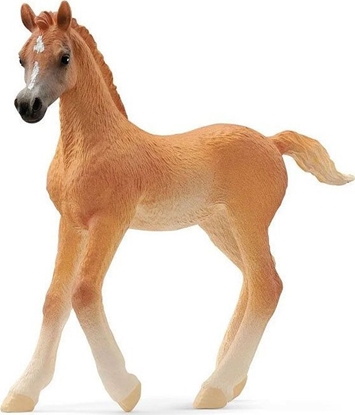 Attēls no Figurka Schleich Schleich 13984 rebi czystej krwi arabskiej