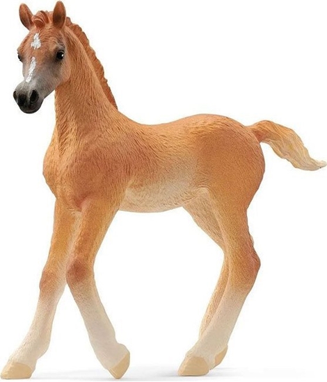 Picture of Figurka Schleich Schleich 13984 rebi czystej krwi arabskiej