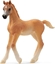 Picture of Figurka Schleich Schleich 13984 rebi czystej krwi arabskiej