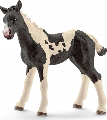 Attēls no Figurka Schleich Schleich 17084 aciaty rebak