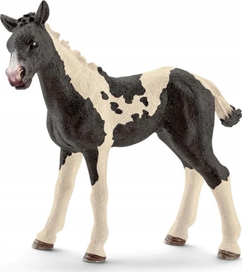 Picture of Figurka Schleich Schleich 17084 aciaty rebak