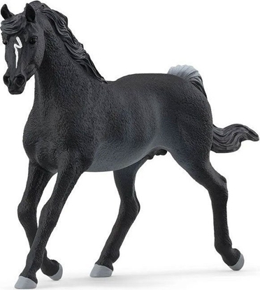 Изображение Figurka Schleich SCHLEICH HORSE CLUB Arab Stallion