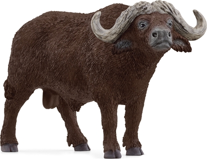 Picture of Figurka Schleich SCHLEICH WILD LIFE African Buffalo