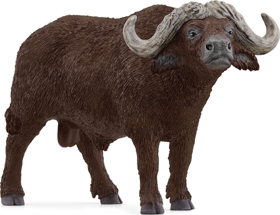 Picture of Figurka Schleich SCHLEICH WILD LIFE African Buffalo