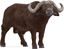 Picture of Figurka Schleich SCHLEICH WILD LIFE African Buffalo
