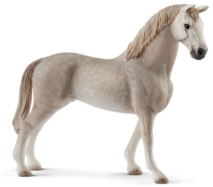 Изображение Figurka Schleich Waach rasy Holszyskiej (269775)