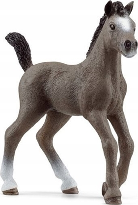Изображение Figurka Schleich rebak rasy Cheval De Selle Francais
