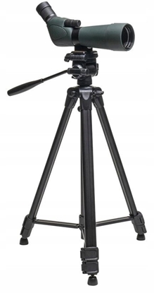 Picture of Focus Outdoor 20-60x60 incl. tripod WF3950