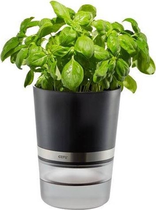 Picture of Gefu Botanico Herb Pot
