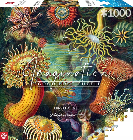 Picture of Good Loot Good Loot Puzzle: Ernst Haeckel - Sea Anemones